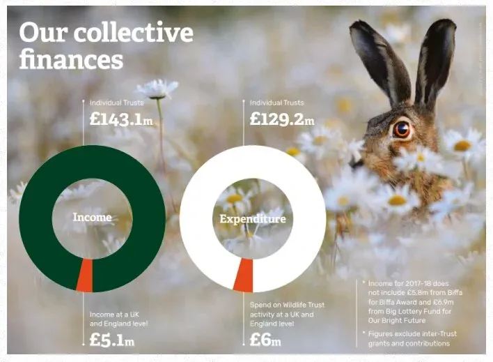 Wildlife Trust