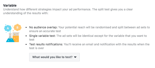 Facebook Split Tests Variables