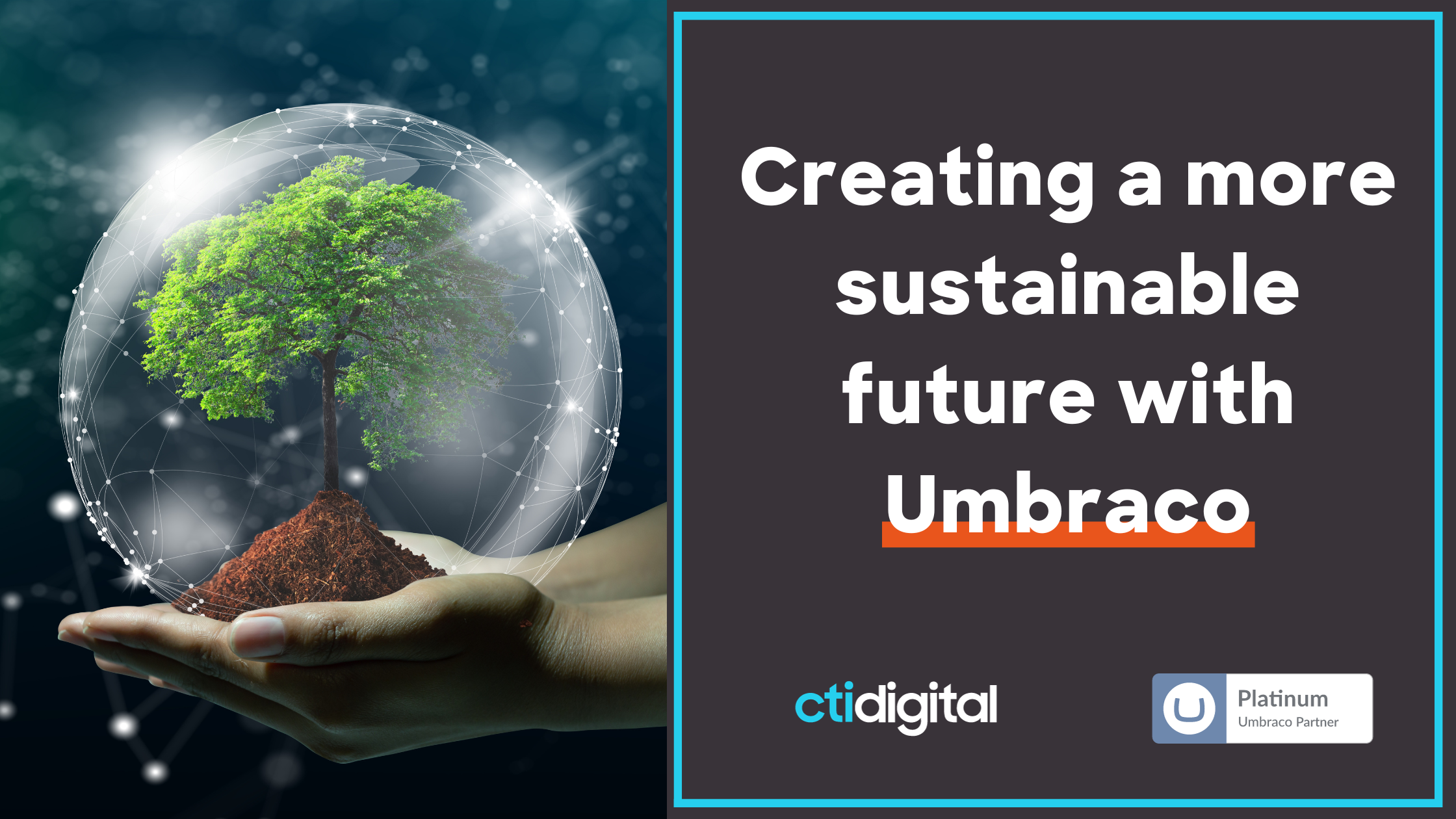 Creating a more sustainable future with Umbraco