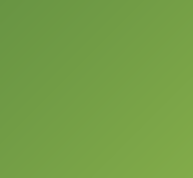 Shopify Agency