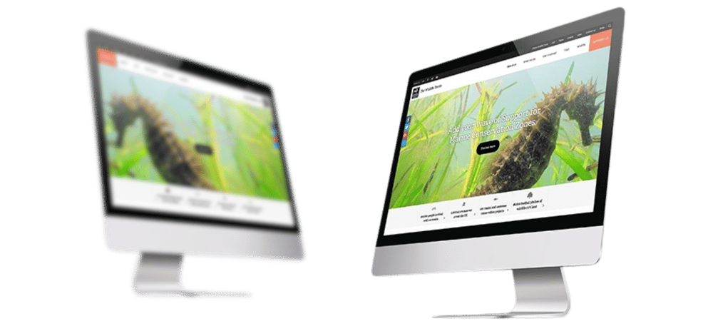 The Wildlife Trust case study mockup 2 (3)