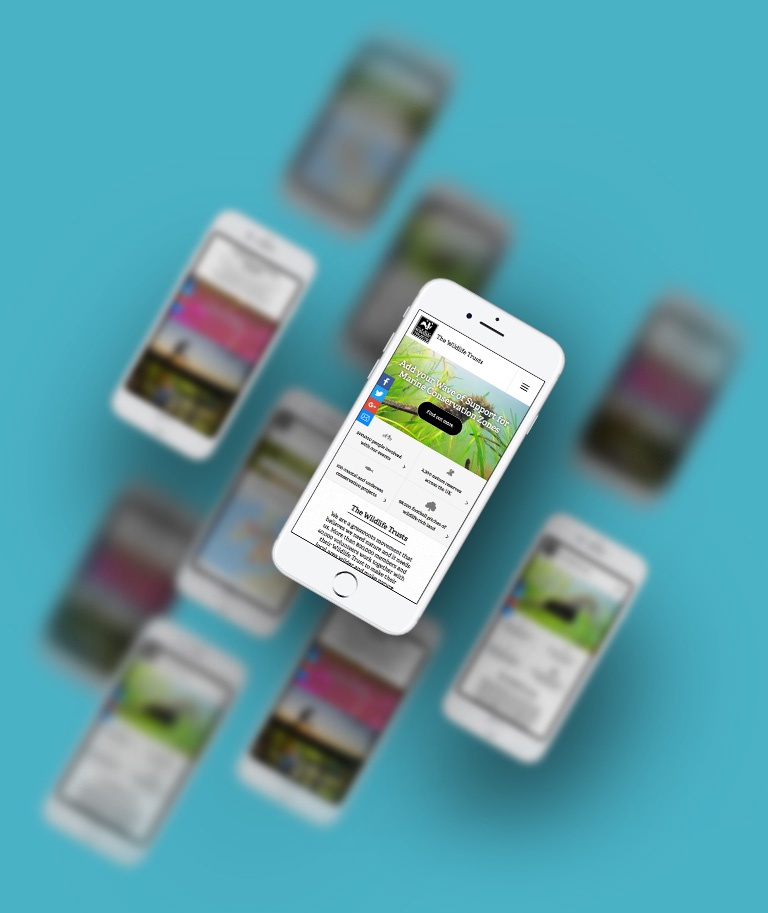 MockUp 4 Blue