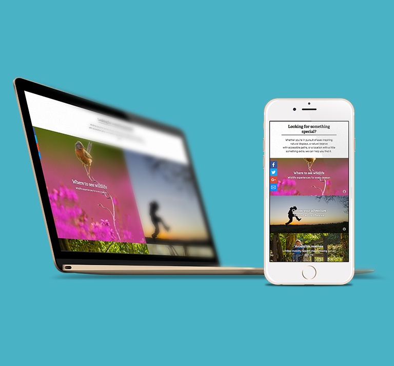 Wildlife Trusts Mobile Design