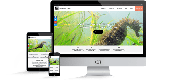 Wildlife Trusts Drupal Launch