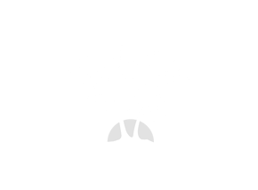 CTI_Malibu_(640x474px)_Logo
