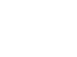 CTI_Wickerman_(640x474px)_logo