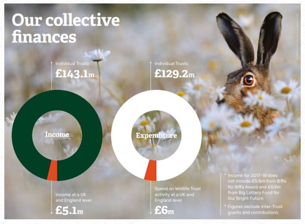 Wildlife Trust