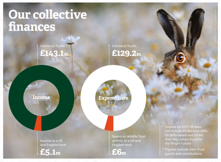 Wildlife Trust