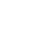 icon (1)