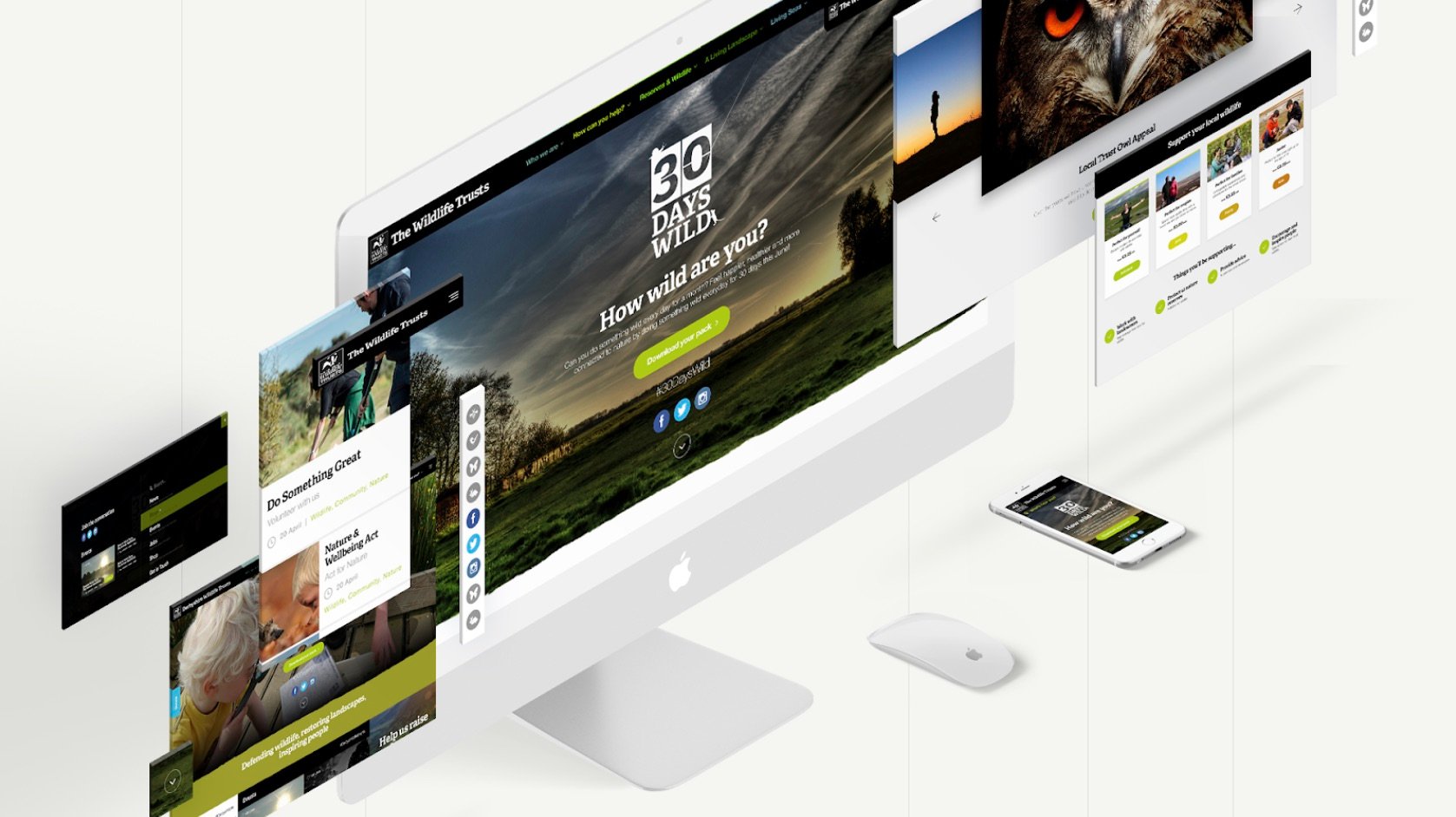 wildlife modular mockup