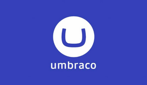 It’s Time to Upgrade Your Umbraco Website | cti digital