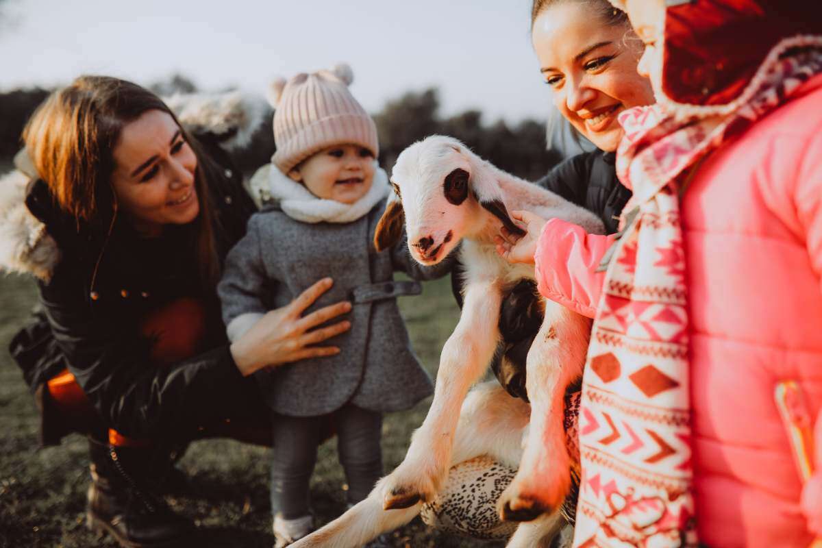 picture of a family petting a baby goat