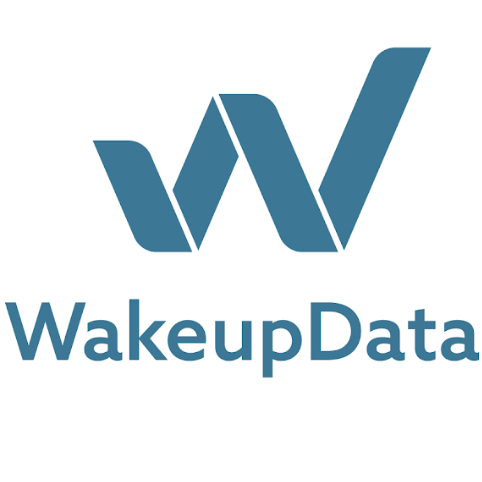 Ben Culpin - Wakeupdata